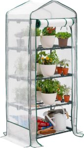 Bramble 4 Tier Mini Compact Greenhouse