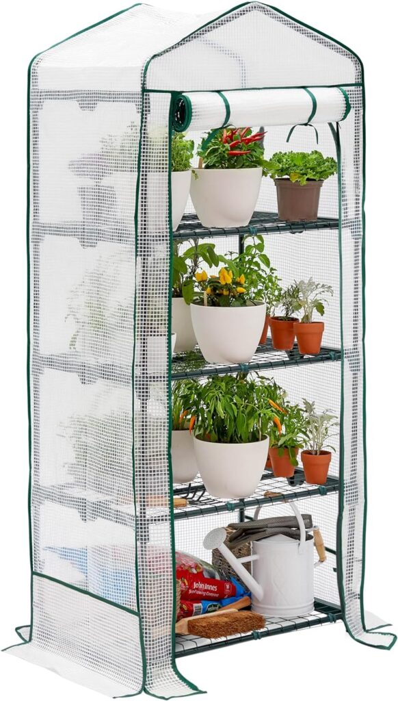 Bramble - 4 Tier Mini Compact Greenhouse, 5.25ft Tall - Reinforced PVC Cover, Easy No Tool Assembly Steel Frame, for Small Garden to Grow House Plants, Fruits, Vegetables