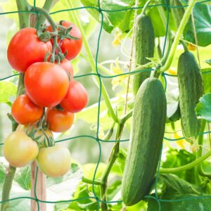 KINGLAKE Green Garden Netting