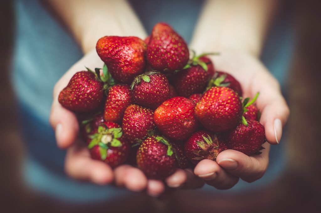 12 x Strawberry Cambridge Favourite Bare Root Plants - Grow Your Own Strawberries - Bare Root Strawberry Runners - Fruit Plant (Regular Packaging (Contain Plastic))