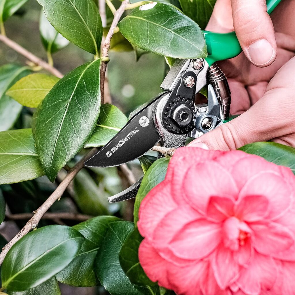 GRÜNTEK Secateurs, Professional Garden Pruning Shears Falke, Bypass, SK5 Blade 48 mm, Teflon-Coated, Ergonomic Shape, Garden Pruner - Green