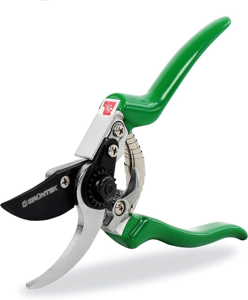 GRÜNTEK Secateurs, Professional Garden Pruning Shears Falke, Bypass, SK5 Blade 48 mm, Teflon-Coated, Ergonomic Shape, Garden Pruner - Green