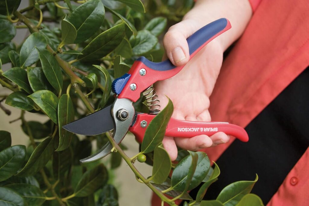 Spear Jackson 7159BS Razorsharp Advantage Bypass Secateurs