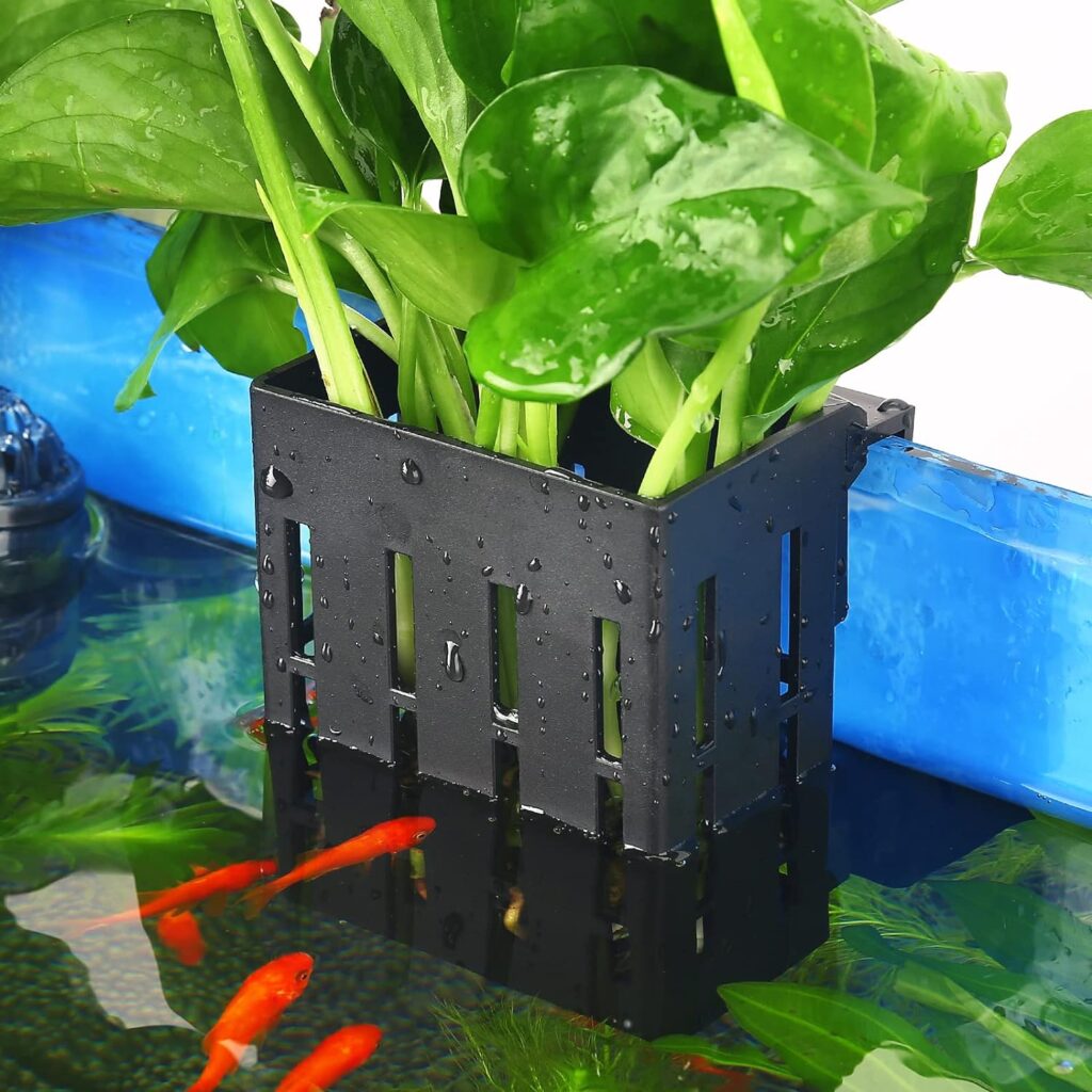 Upgraded Aquarium Plant Holder with Hooks and Suction Cups for Fish Tank Aquaponic Plant Cultivation and Aquascape Decorations (Black)